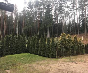 Фото номера Дом с 2 спальнями Дома для отпуска Svečių namai Jurkionis г. Medukšta 35